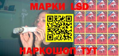 гидропоника Донской