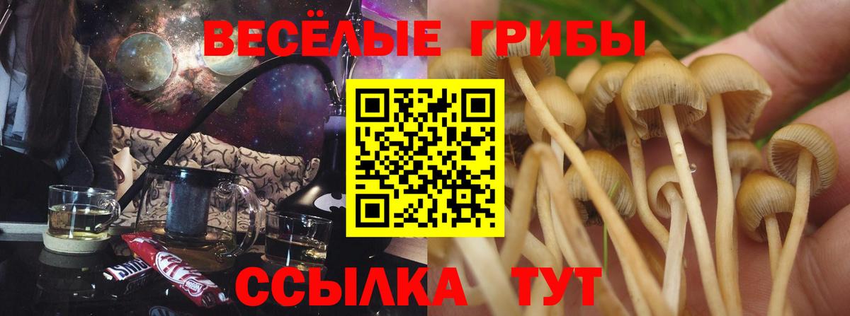 Владивосток  Псилоцибиновые грибы MAGIC MUSHROOMS  Вход с VPN 